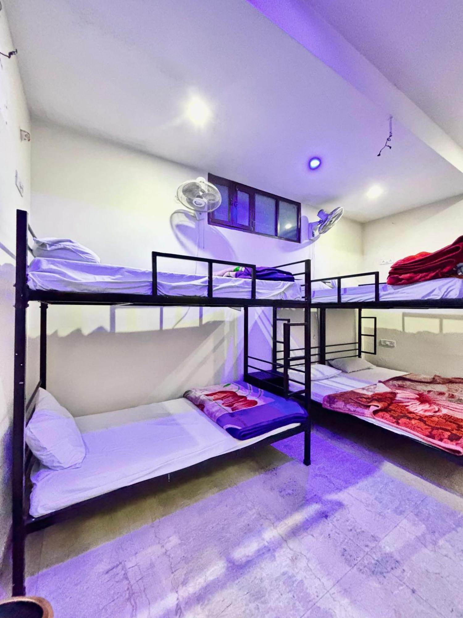 ג'איפור Hotel Royal Pinkcity מראה חיצוני תמונה